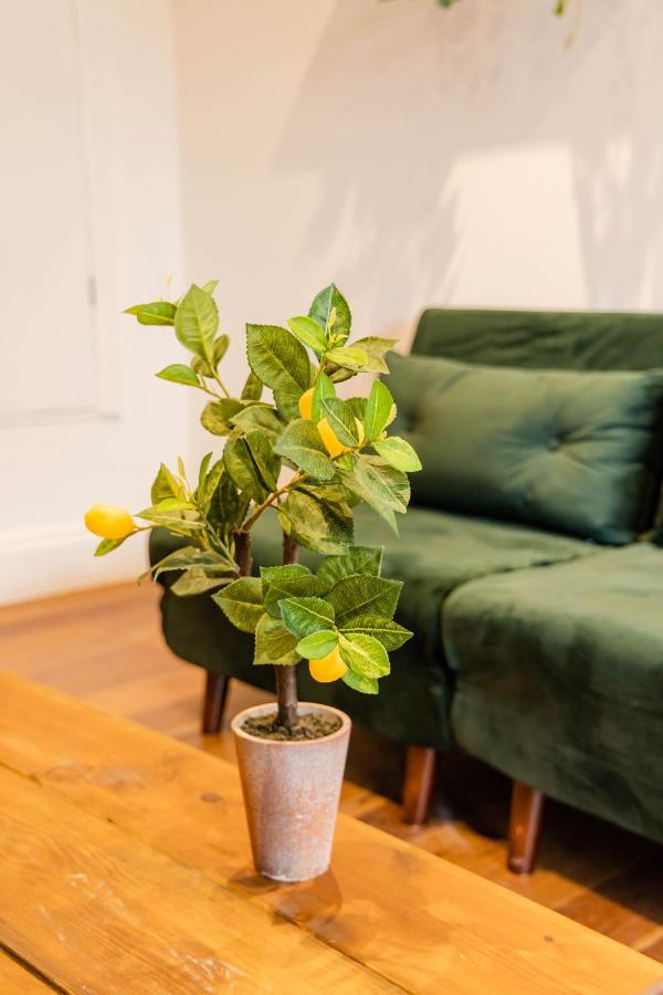2Cq*Morden Studio Flat *Moments Away From Brighton Seafront Exterior foto